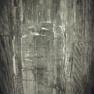 Meet your Posher, Elvis