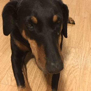 Meet your Posher, Mimi