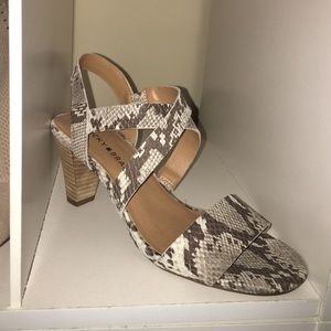 Snakeskin heel lucky brand