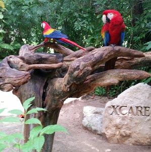 Meet your Posher, Irina