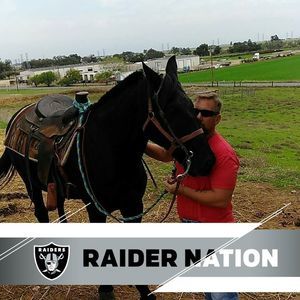 Meet your Posher, Joe