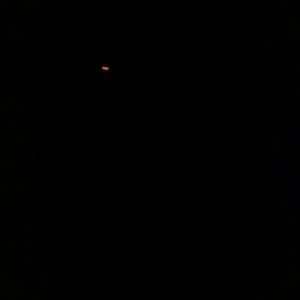 Meet your Posher, Kaleb