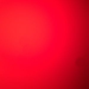 Meet your Posher, Celeste