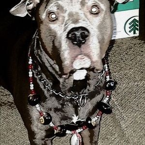 Meet your Posher, Jordan