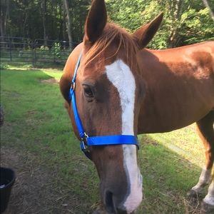 Meet your Posher, Jordan