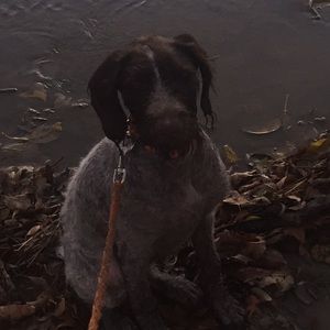 Meet your Posher, Jon