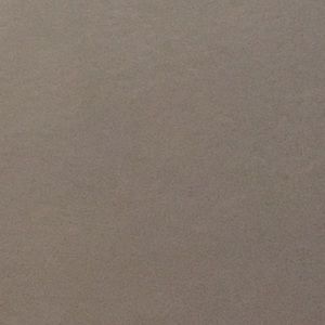 Meet your Posher, Buzz