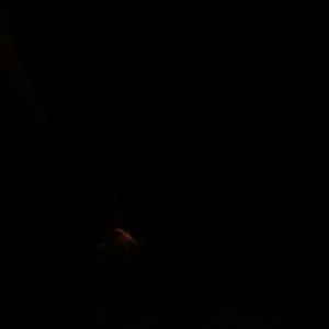 Meet your Posher, Micah