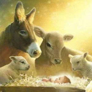 Meet your Posher, Kelli