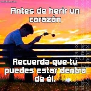 Meet your Posher, Ernesto