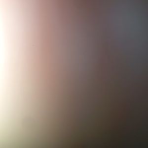 Meet your Posher, Leshal