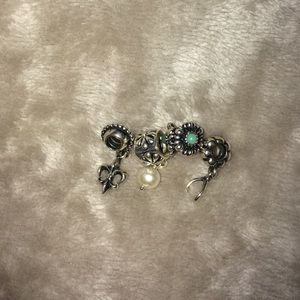 Various Pandora Charms