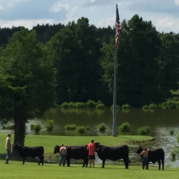 Meet your Posher, Robin - Picture 1 of 1