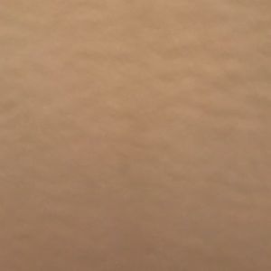 Meet your Posher, Liz