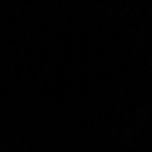 Meet your Posher, Dante