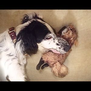 Meet your Posher, Laura