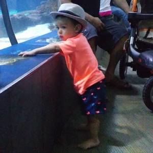 Meet your Posher, Ramirez