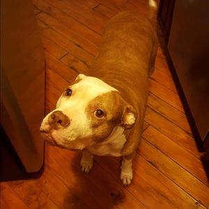 Meet your Posher, Tiffany