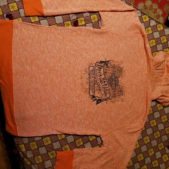 Womens Harley Davidson hooded Sweatshirt - Picture 2 of 4