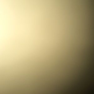 Meet your Posher, Noelia