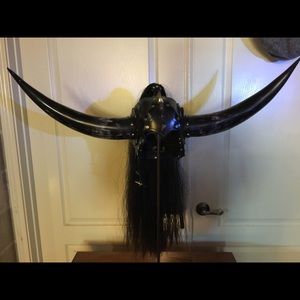 Steer horned leather helmet