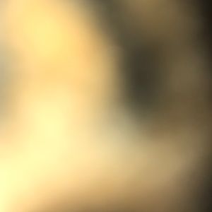 Meet your Posher, Martha