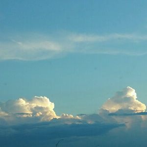 Meet your Posher, Janie