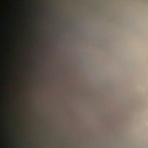 Meet your Posher, Devon