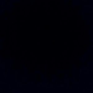 Meet your Posher, Terry