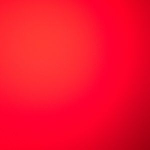 Meet your Posher, Kylie