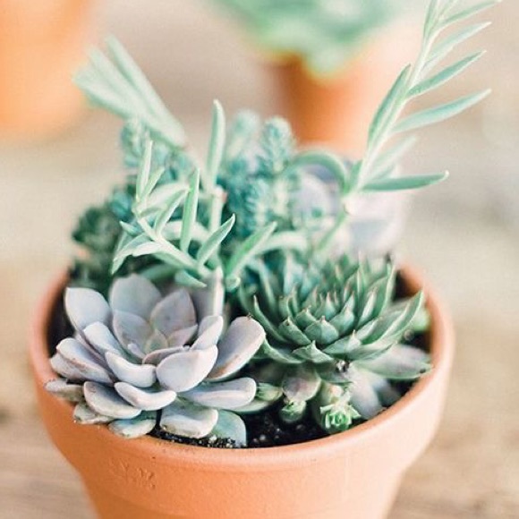 Meet your Posher, Viviana