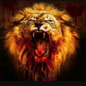 Meet your Posher, Bernardo