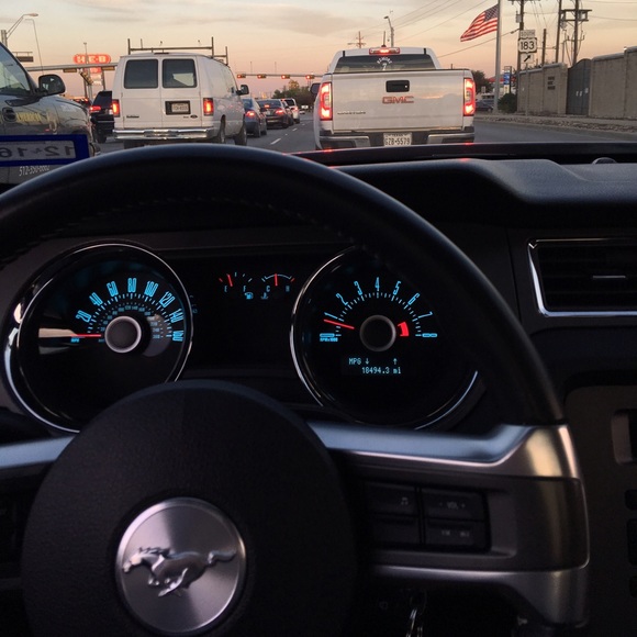 Meet your Posher, Conner - Picture 1 of 1