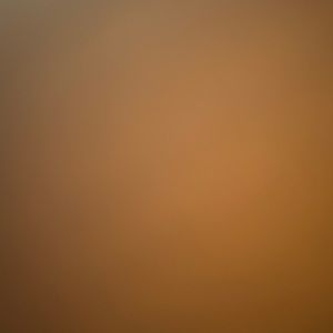 Meet your Posher, Nicos