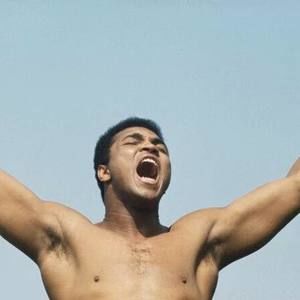 Meet your Posher, Thee