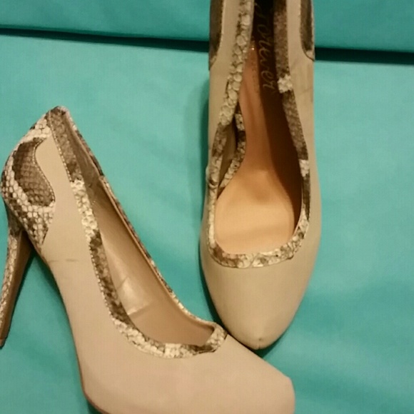 NWOB Cream with Snakeskin Detail Heel and Border - Picture 1 of 3
