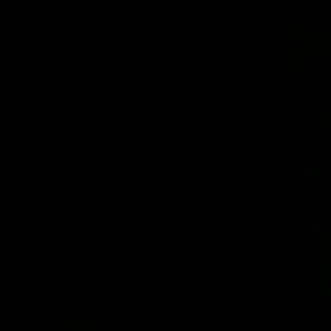 Meet your Posher, Eddie