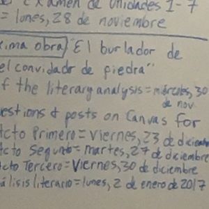 Meet your Posher, Carli