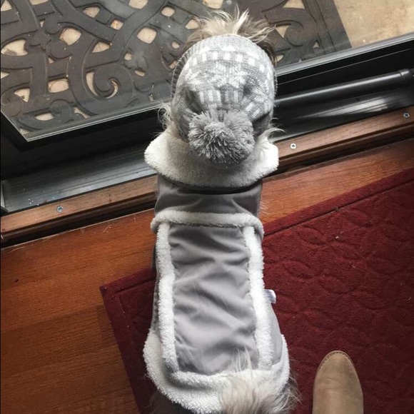 Meet your Posher, Giselle - Picture 1 of 1