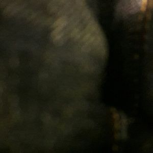 Meet your Posher, Lorenzo