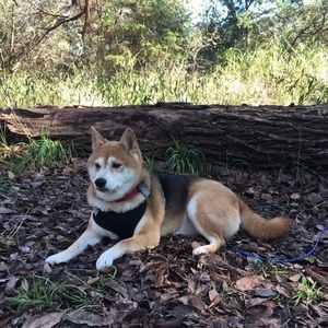 Meet your Posher, Ariana