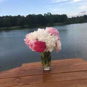 Meet your Posher, Kathy haaser