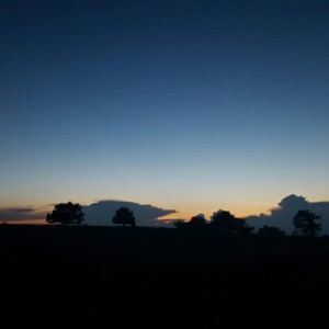 Meet your Posher, Whitney