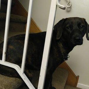 Meet your Posher, Shelly