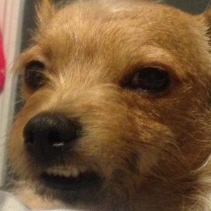 Meet your Posher, Brianne