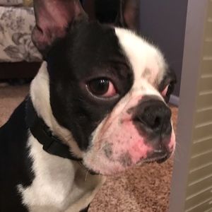 Meet your Posher, Tracy