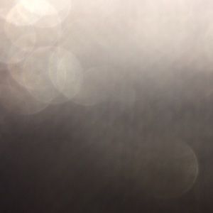 Meet your Posher, Shantor