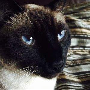 Meet your Posher, Rita