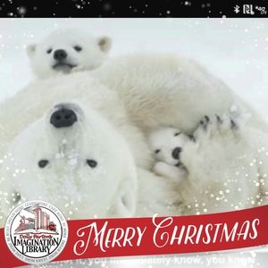 Meet your Posher, Rosie