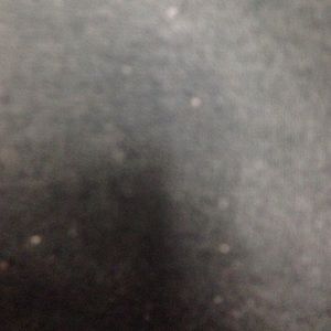 Meet your Posher, Hector